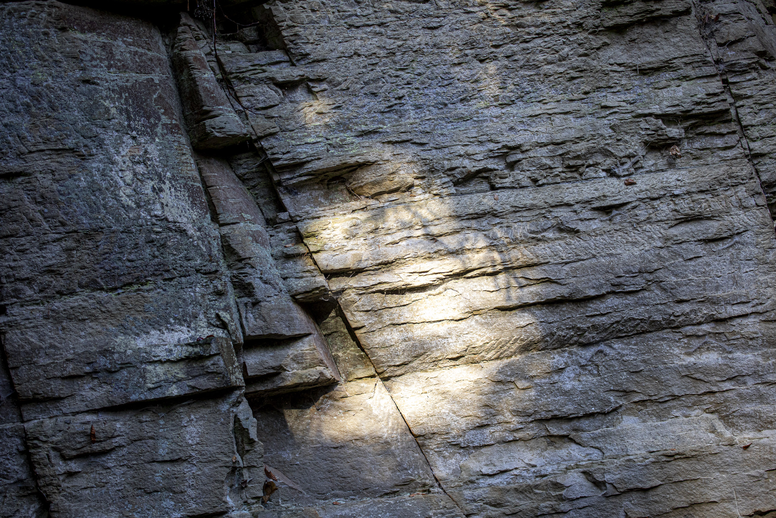 20251129121503 RD4 0757